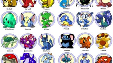 Exploring the World of Neopets Reddit: A Deep Dive Into Fan Communities