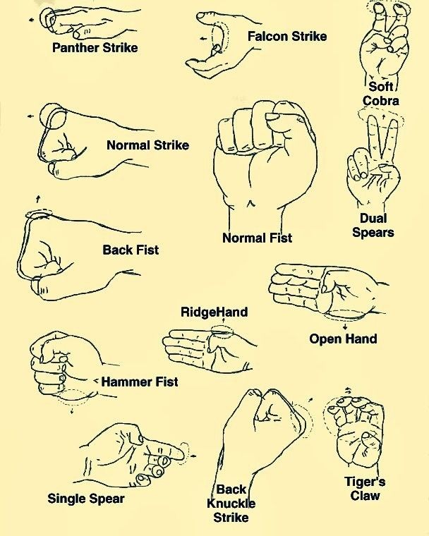 Quick Punches NYT: Understanding Fast Strikes & Their Impact